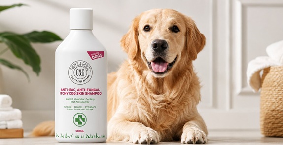 Cooper and Gracie anti-bacterial anti-fungal itchy dog skin shampoo 500ml white bottle beside a golden retriever in a clean bathroom setting
